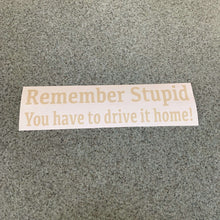 Fast Lane Graphix: Remember Stupid You Have To Drive It Home! Sticker,Beige, stickers, decals, vinyl, custom, car, love, automotive, cheap, cool, Graphics, decal, nice