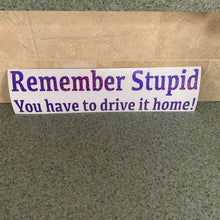 Fast Lane Graphix: Remember Stupid You Have To Drive It Home! Sticker,Purple Sequin, stickers, decals, vinyl, custom, car, love, automotive, cheap, cool, Graphics, decal, nice