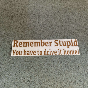 Fast Lane Graphix: Remember Stupid You Have To Drive It Home! Sticker,Copper Metallic, stickers, decals, vinyl, custom, car, love, automotive, cheap, cool, Graphics, decal, nice