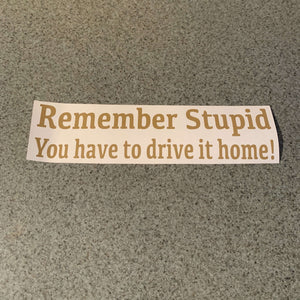 Fast Lane Graphix: Remember Stupid You Have To Drive It Home! Sticker,Gold Metallic, stickers, decals, vinyl, custom, car, love, automotive, cheap, cool, Graphics, decal, nice