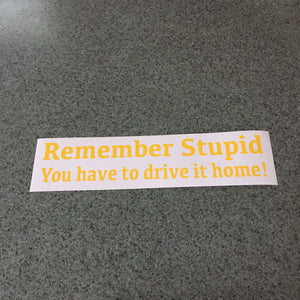 Fast Lane Graphix: Remember Stupid You Have To Drive It Home! Sticker,Yellow, stickers, decals, vinyl, custom, car, love, automotive, cheap, cool, Graphics, decal, nice