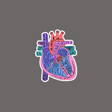 Fast Lane Graphix: Anatomical Heart Printed Sticker,[variant_title], stickers, decals, vinyl, custom, car, love, automotive, cheap, cool, Graphics, decal, nice